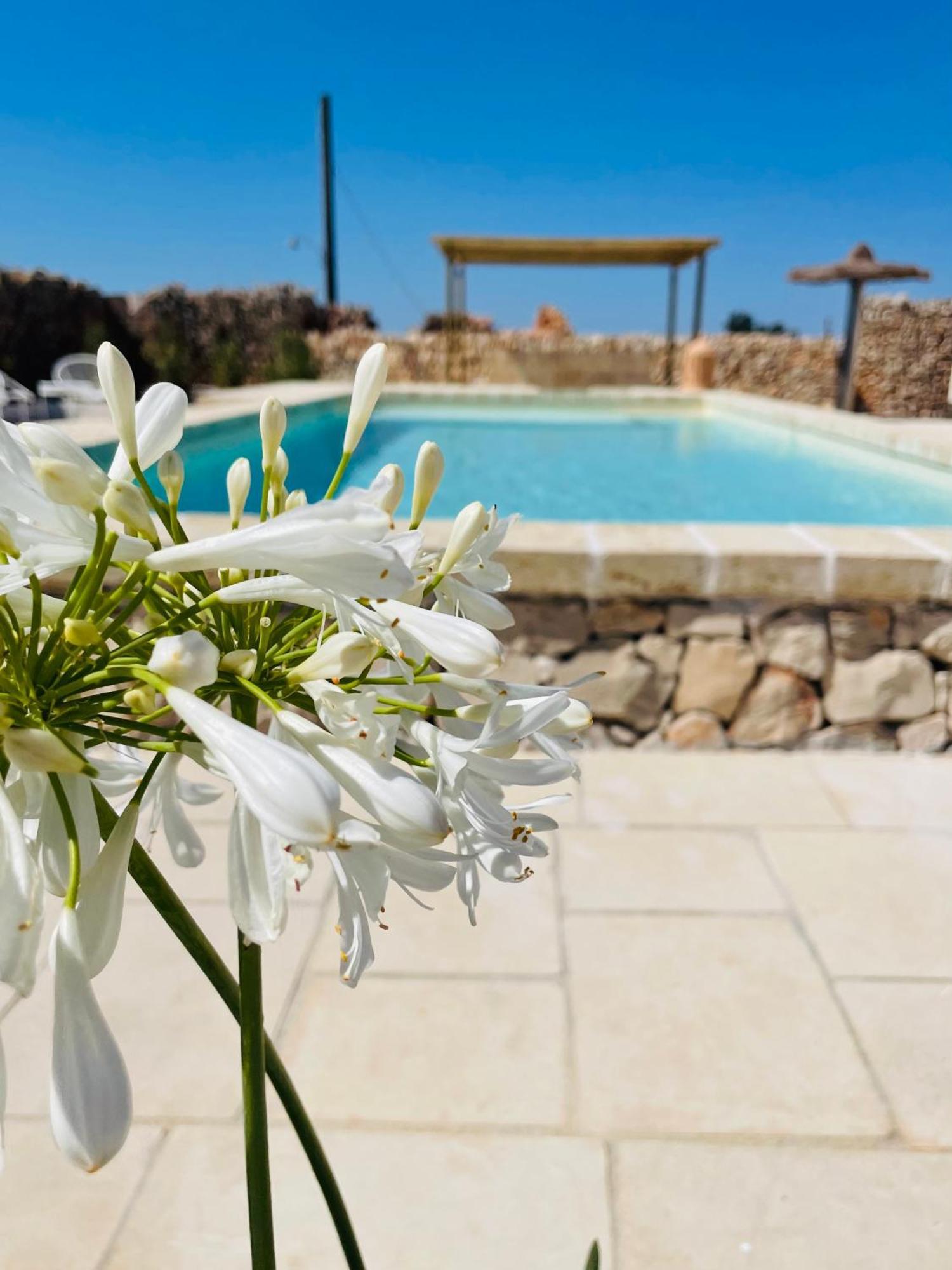 Masseria Voluzzi